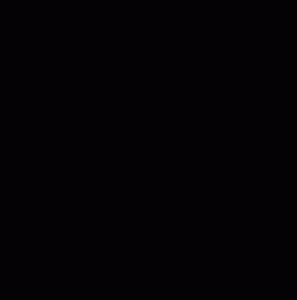 Logo de Prespa en mode clair 